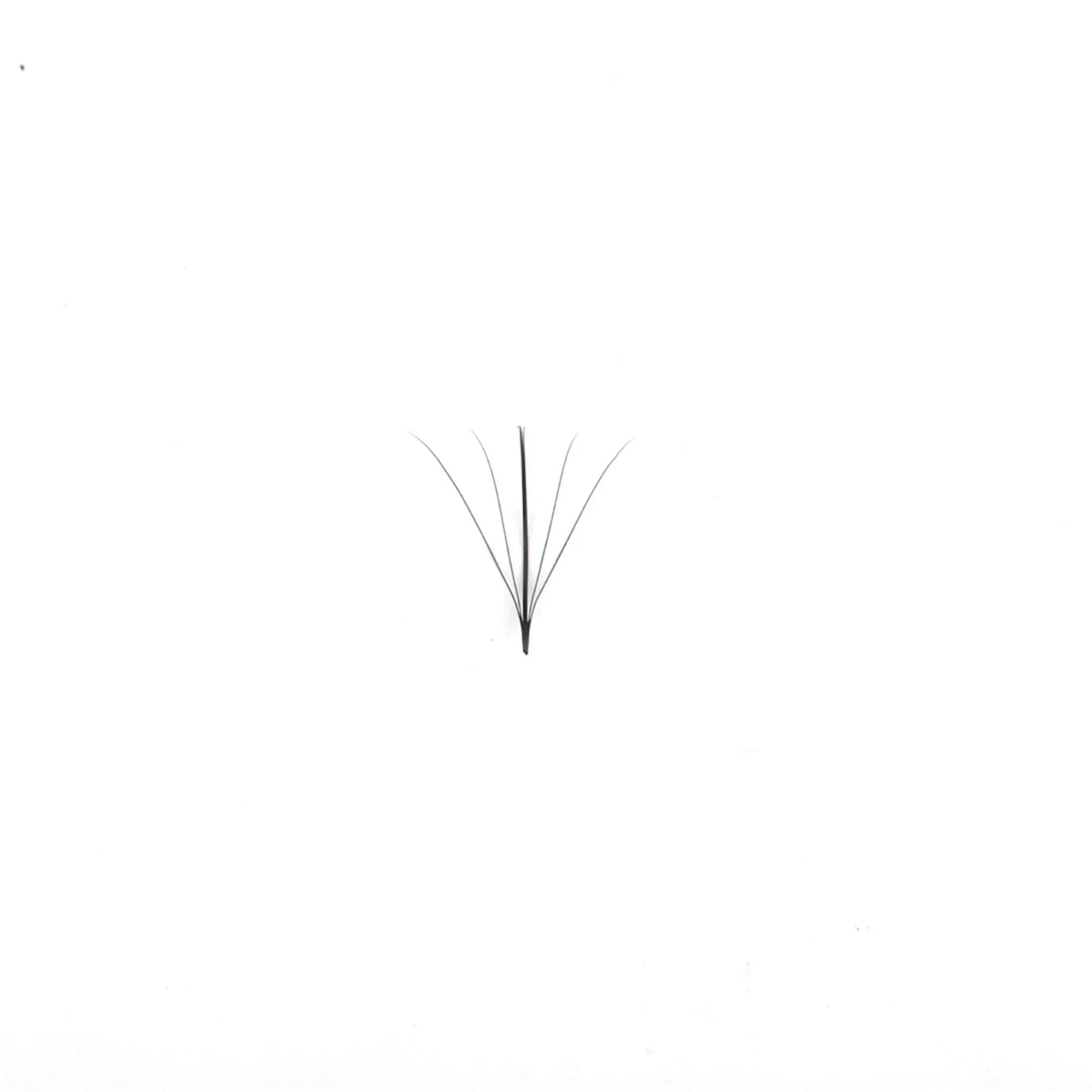 Miosh Eyelash Extensions  - 5D Premade Wispy Spike Fans Eye Lash VXN Beauty