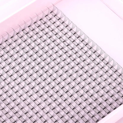 Miosh Eyelash Extensions - XL 5D Premade Volume Short Stem Lash 0.10 / D CURL VXN Beauty