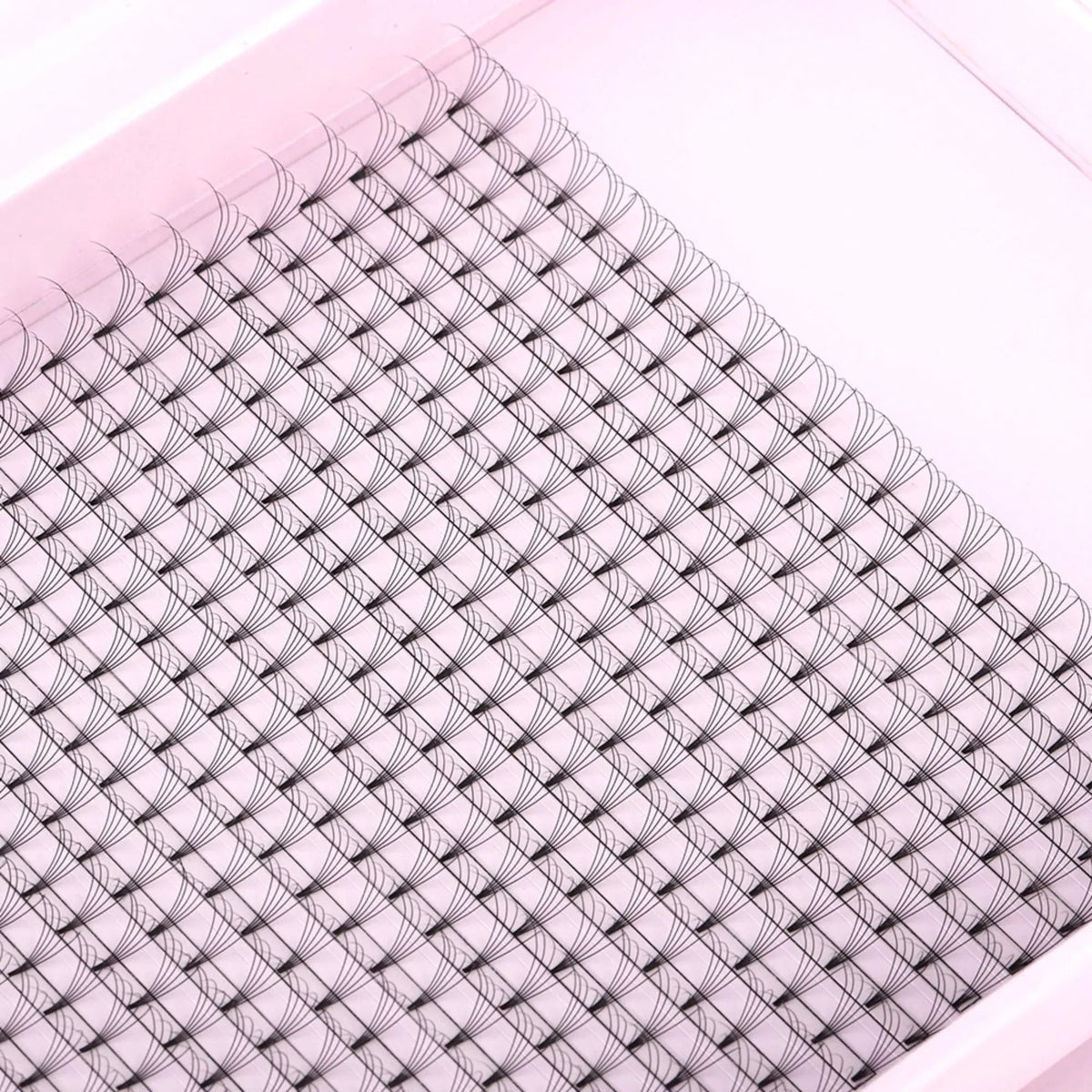 Miosh Eyelash Extensions - XL 5D Premade Volume Short Stem Lash 0.10 / D CURL VXN Beauty