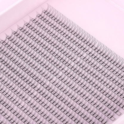 Miosh Eyelash Extensions - XL 3D Premade Volume Short Stem Lash 0.10 / D CURL VXN Beauty