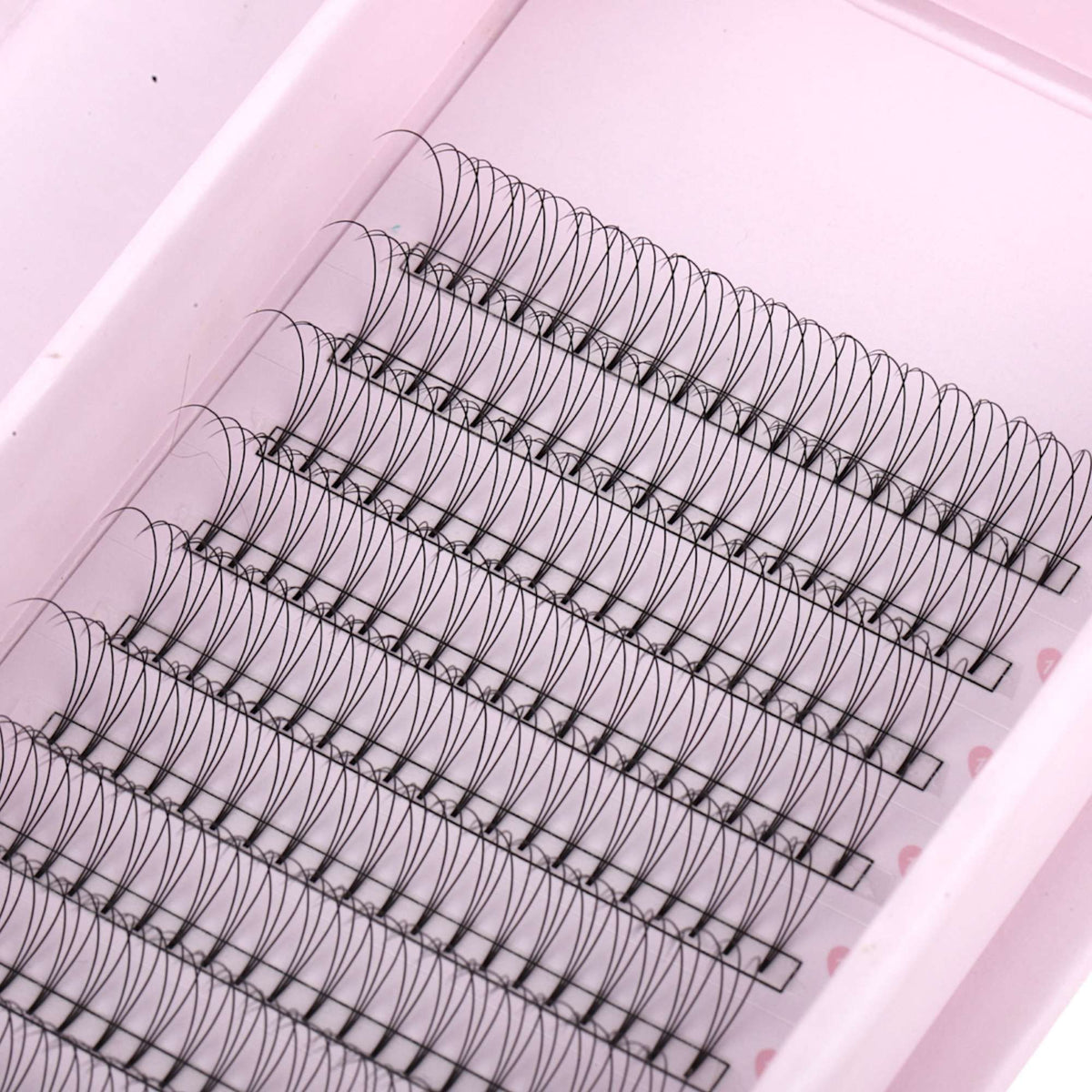 Miosh Eyelash Extensions - 3D Premade Volume Short Stem Eye Lash 0.10 / D CURL VXN Beauty