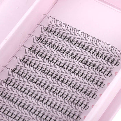 Miosh Eyelash Extensions - 3D Premade Volume Short Stem Eye Lash 0.10 / D CURL VXN Beauty